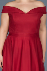 Plus Size Tulle Gown1
